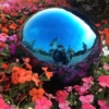 Blue stainless steel gazing ball,blue colored steel balls